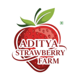 adityastrawberries.co.in